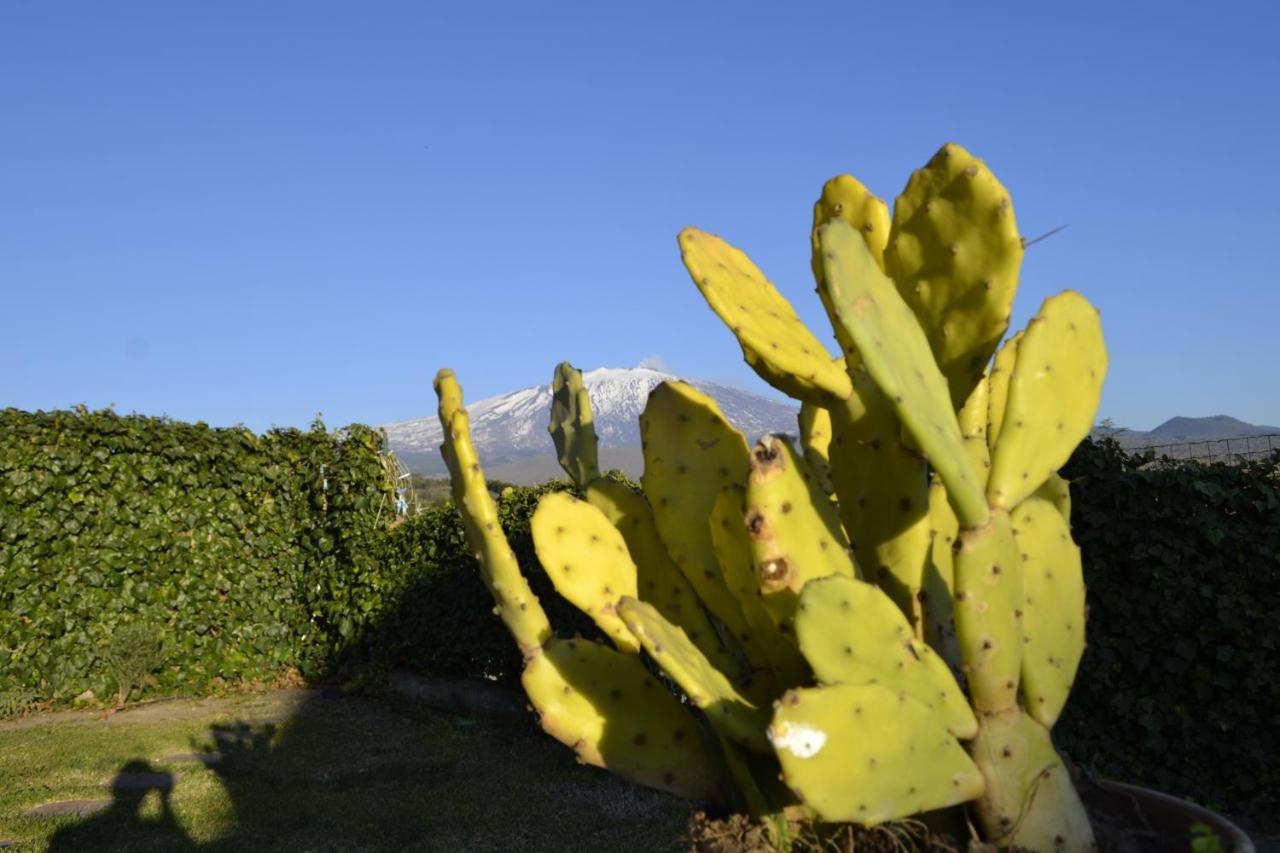 مبيت وإفطار برونتي Good Morning Etna المظهر الخارجي الصورة